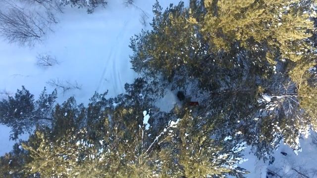 г. Топки. Райский уголок Николая Мозгового зима 2022г. смотреть онлайн