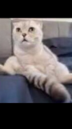 Урааа норм видео!