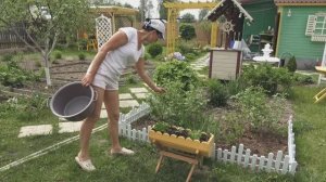 6 соток 31 мая 2025 года. 1 часть