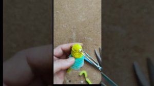 Попугай из синельной проволоки