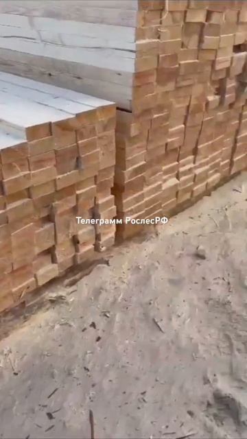 доска сосна смотреть онлайн