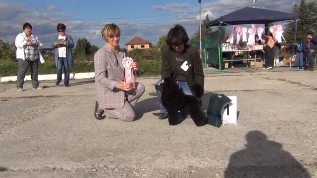 92   06,09,2020 Моно пуделей г. Касли. Lucky Perfect Pleasant Tale