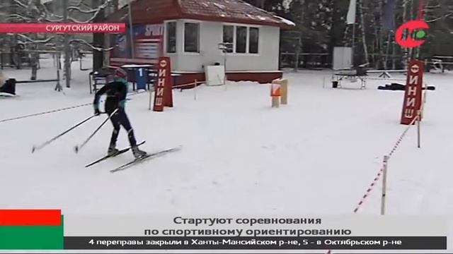 В Сургуте «обкатывают» трассу по спортивному ориентированию перед Чемпионатом Европы смотреть онлайн