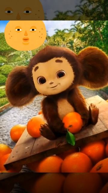 Живые обои на телефон. смотреть онлайн