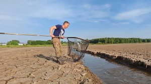 Никогда в жизни, я так рыбу еще не ловил.