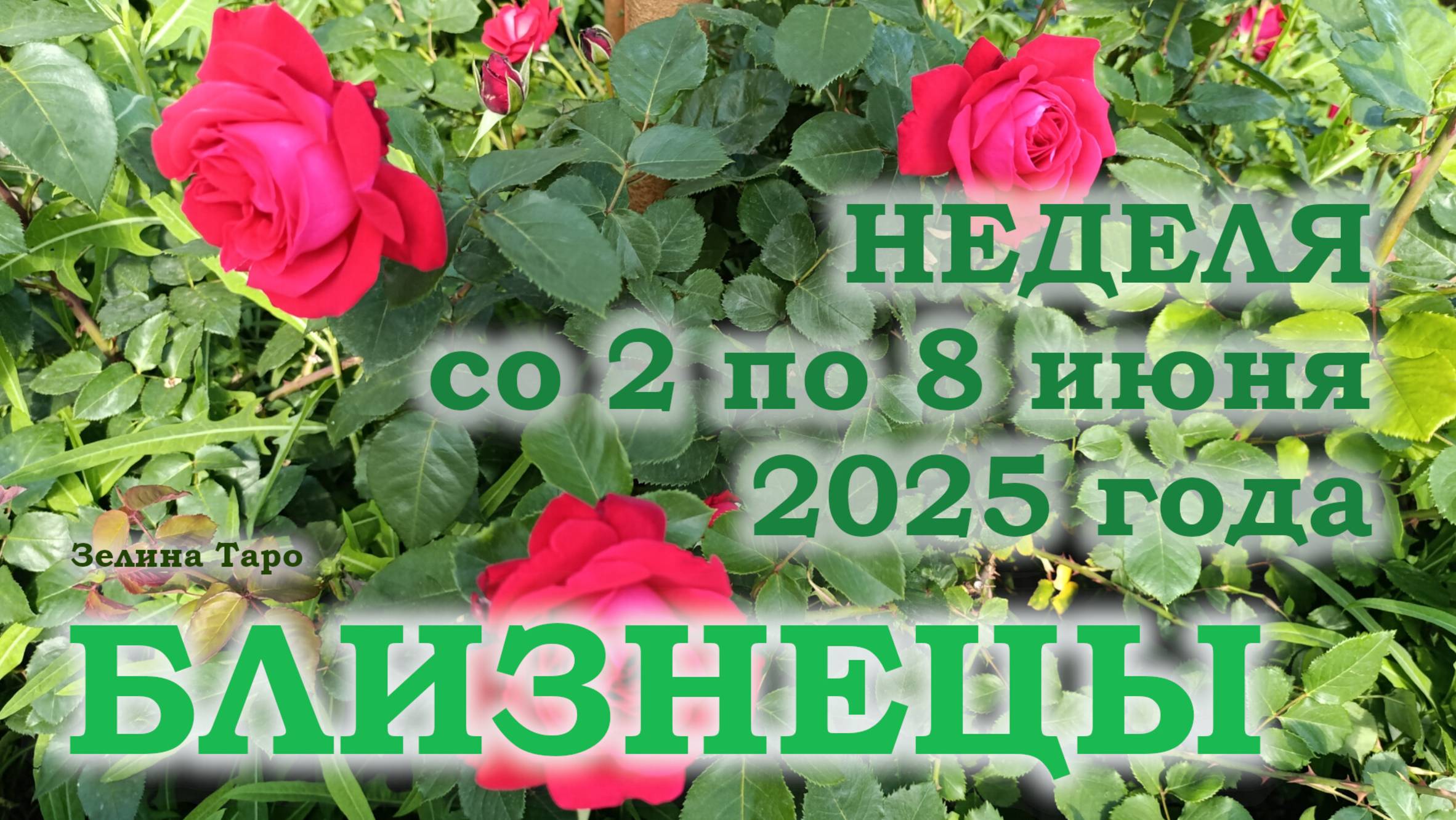 БЛИЗНЕЦЫ | ТАРО прогноз на неделю со 2 по 8 июня 2025 года
