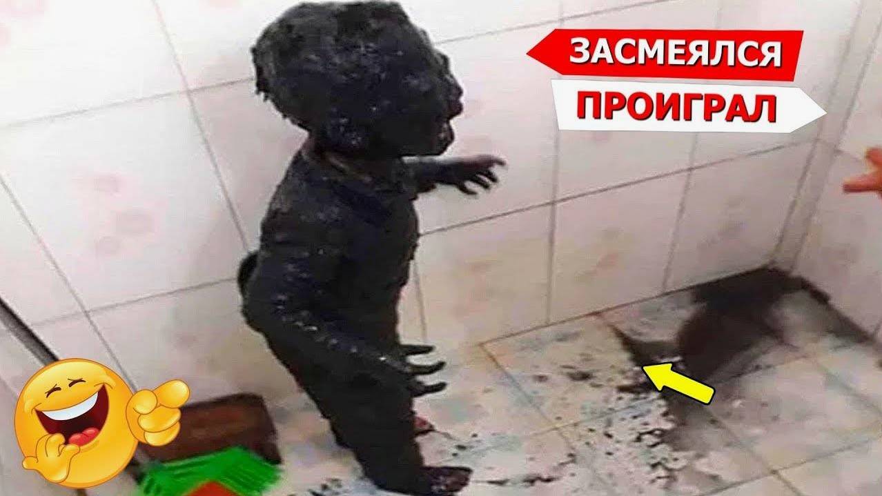 Я РЖАЛ ДО СЛЕЗ 😂 5 Минут ОТБОРНЫХ приколов 2025 Смешные видео - Лучшие ПРИКОЛЫ смотреть онлайн