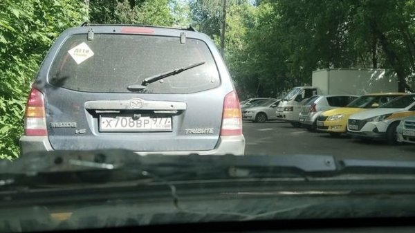 Тиграшка.mp4