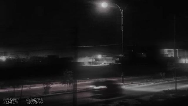 𝙽𝙸𝙶𝙷𝚃 𝚁𝙾𝚂𝙴𝚂~ Положение♫︎♪