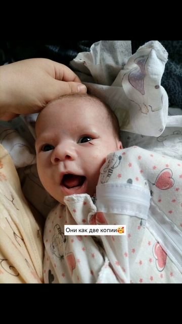 Две копии папы❤️ смотреть онлайн