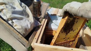 Расширяем семьи несмотря ни на что.