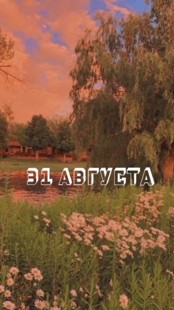 редкие др#2025 #тренды #sofico #эстетика смотреть онлайн