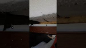 монтаж оконного откоса из пенопласта