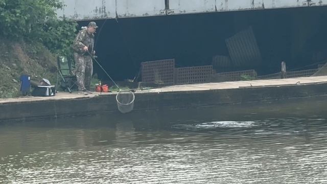 Карпуша под мостом смотреть онлайн