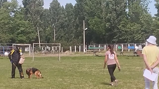 2 Отл. СС Negus Karil's ARSENIYA +++ №35. КЧК КРАСНОДАР 24 мая`25 Н.Морева Моно нем.овч.