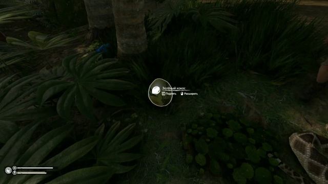 Выживание бомжа в России