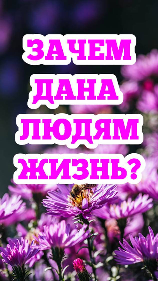 Зачем дана людям жизнь? смотреть онлайн