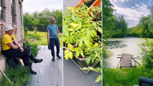 Шиндяевы: Высадила всю рассаду