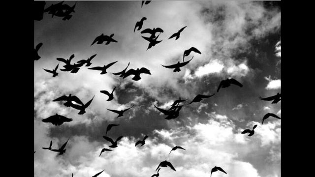 Предатели(автор Павлова Ольга,стихи, музыка(суно), монтаж, ГОША ПРЕДАЕТ ЗОСЮ И ЖЕНИТСЯ НА ДИНЕ смотреть онлайн