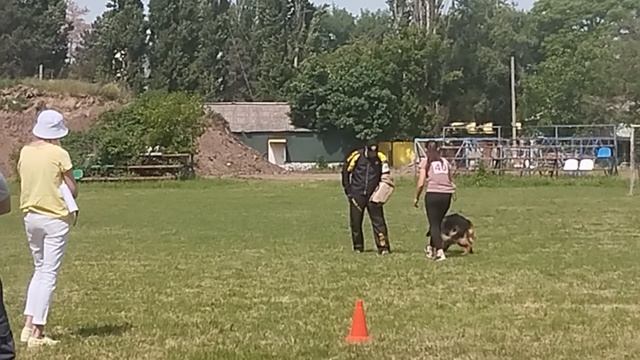 1 Отл. КЧК Чилимгур ЁЗГЕДА +++ №40. КЧК КРАСНОДАР 24 мая`25 Н.Морева Моно нем.овч.