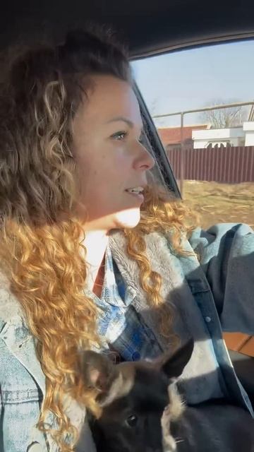 #garden #жизньзагородом #рецепты #огород #shorts #petrovchanka_lera #pet смотреть онлайн