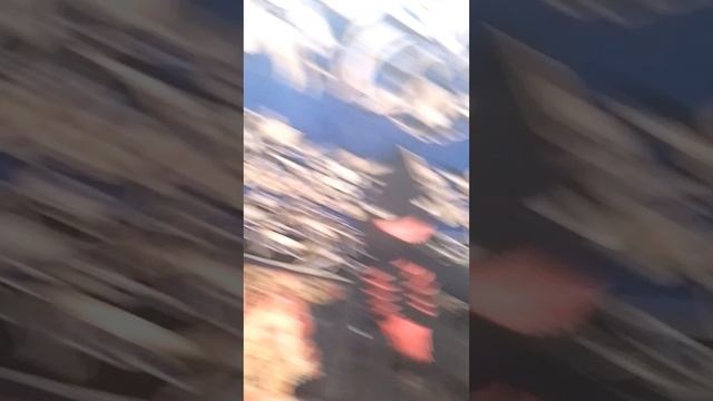 3 сезон 9 часть мягких игрушек.