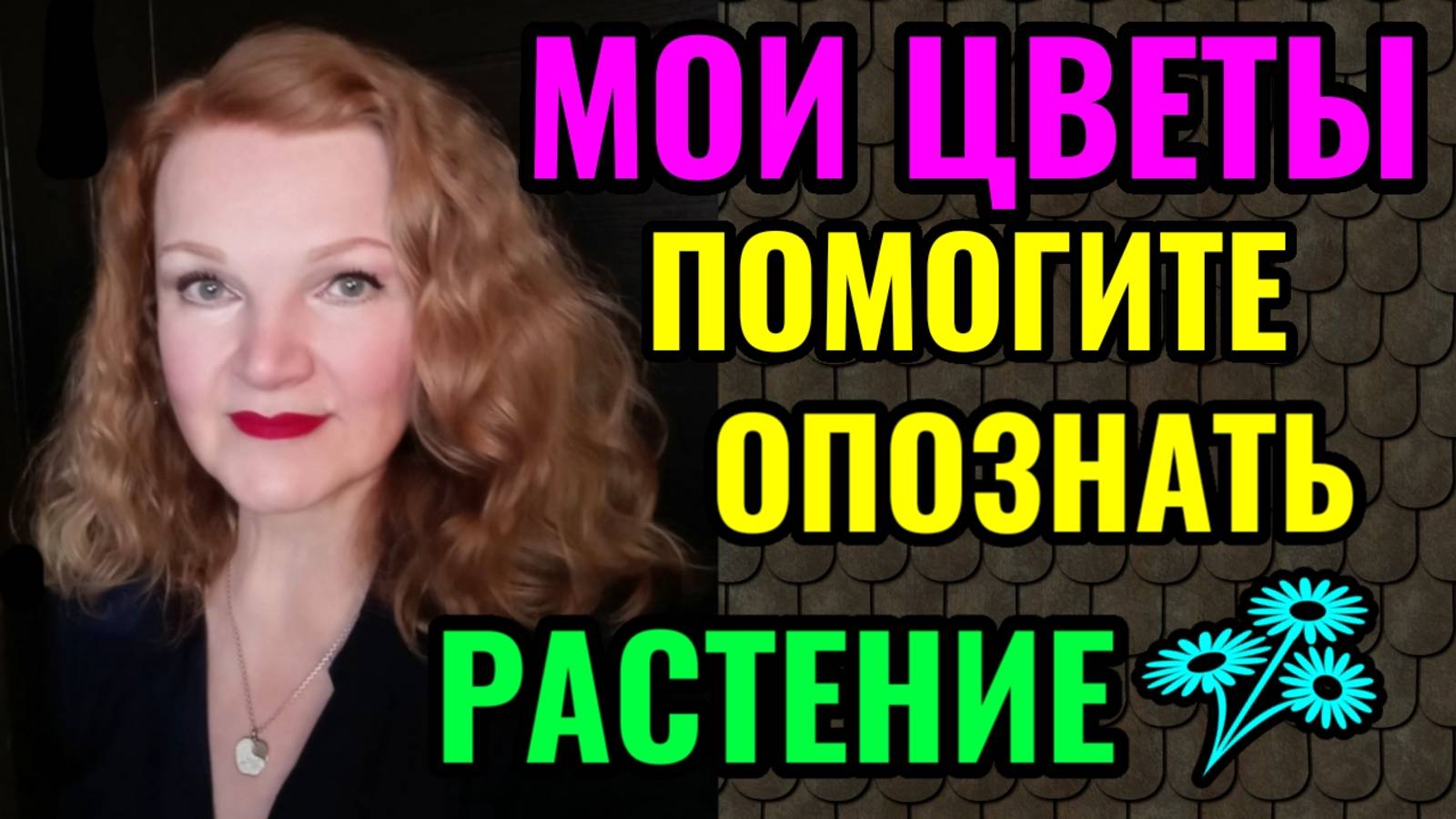 Мои комнатные цветы + помогите опознать растение! И стишки-пирожки для настроения. смотреть онлайн