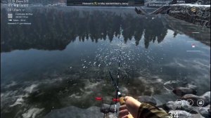 Фарм денег на озере вайт муз Fishing planet