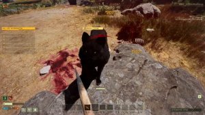 ИЗЫСКАНИЕ АССАМБЛЕЯ: УСТРАНЕНИЕ ХИЩНИКА #2 ICARUS 2021