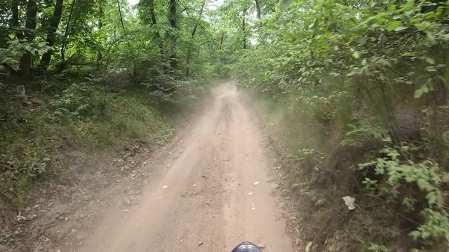 Прохват по Шилово лесу смотреть онлайн