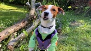 Эдит локи бобо 1