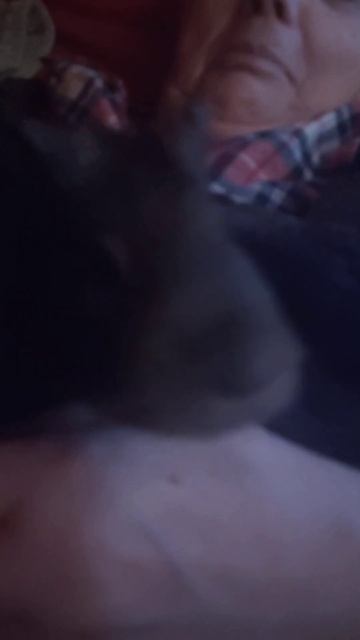 Утром всегда хочется есть больше чем спать смотреть онлайн