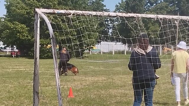 Граница Миллениум САХАЛИН - №39. КЧК КРАСНОДАР 24 мая`25 Н.Морева Моно нем.овч.