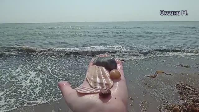 На море за Пригородным. Остров Сахалин.mp4