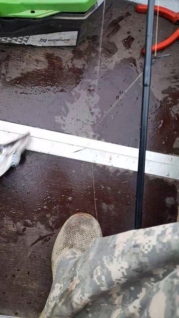 Пески вертушка 3. #рыбалка #fishing #щука смотреть онлайн