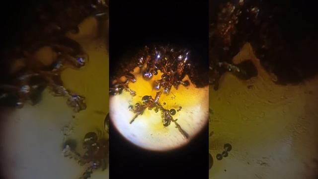 Замедление образования серебрянных дендритов смотреть онлайн