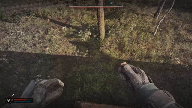 S.T.A.L.K.E.R. 2 Тайник на Маршрутном элеваторе смотреть онлайн