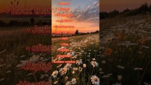 Плейлист песен с летним вайбом, почувствуй вайб лета❤️