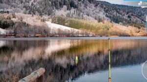 Как поймать обыкновенный лопатонос в игре My Fishing World