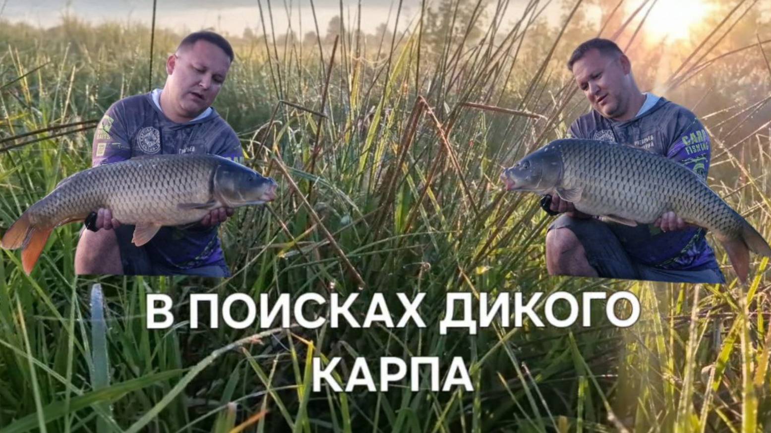В поисках дикого карпа. На чувашском и русском языках. смотреть онлайн