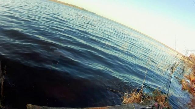 Весенний фидер на Селигере.Часть2