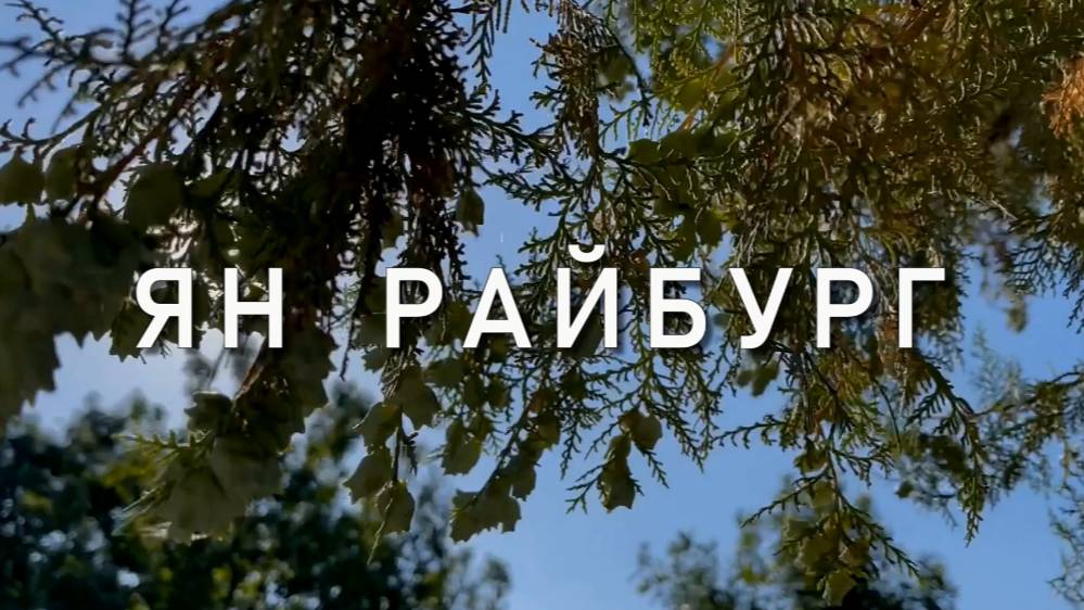 Счастье,  Ян Райбург, Музыка для души