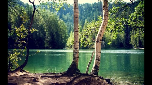 Трек про берёзу смотреть онлайн