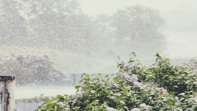 Весна в деревне 2 часть #vivox200pro #djiom6 #Россия #Татарстан  #zov #Бурметьево #Татарстан #Нурлат