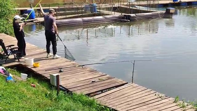 Поимка смотреть онлайн