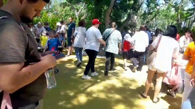 1 июня. праздник в Геленджике! смотреть онлайн