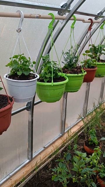 цветочный огород) смотреть онлайн