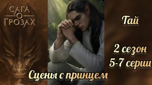 Сага о грозах 2 сезон 5-7 серии. Взаимодейсьвия с принцем. Тай СОГ.