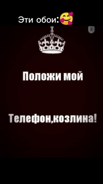 Мой тг cat201450 #котики #обои #рек #мяу #подпишись смотреть онлайн