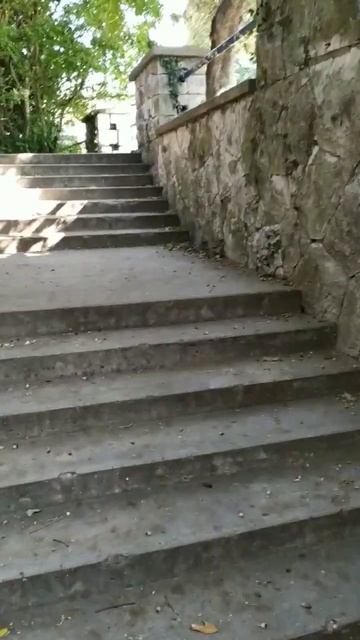 уютное кафе у моря 💚 милый уголок #хорватия #croatia смотреть онлайн